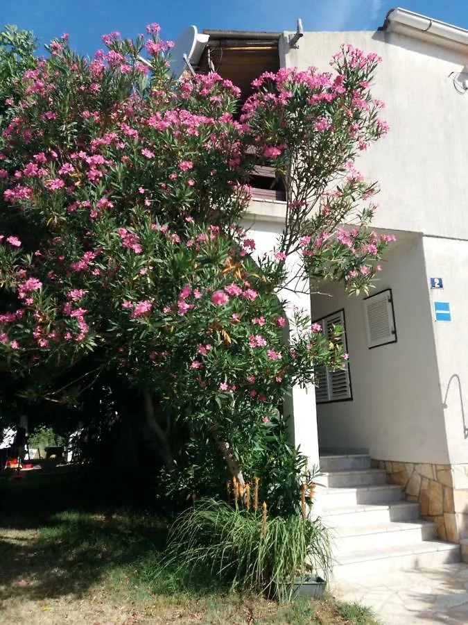 Apartman Nona Povljana Croatia