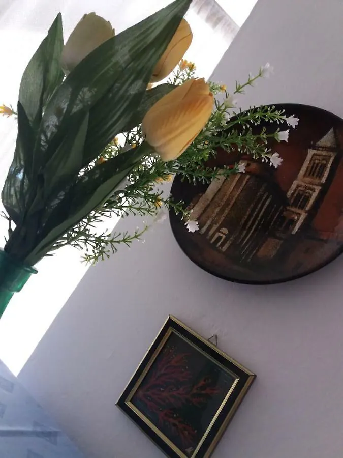 Apartman Nona Povljana Apartment